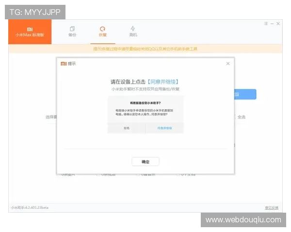 如何下载斗球电脑版，详细操作流程与注意事项介绍